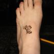 butterfly on foot